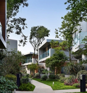 CÁC CÔNG TY CUNG CẤP CÂY XANH CHO CÔNG TRÌNH Ở ĐẮK LẮK