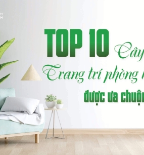 TOP 10 CÂY XANH TRANG TRÍ PHÒNG KHÁCH ĐƯỢC ƯA CHUỘNG NHẤT